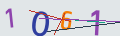 verifycode